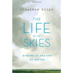The Life of the Skies