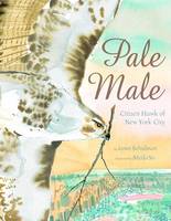 Pale Male