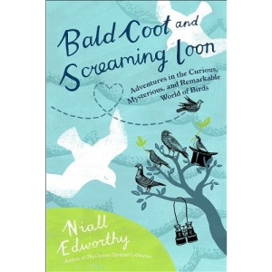 Bald Coot and Screaming Loon: Adventures in the Curious, Mysterious, and Remarkable World of Birds