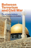 Between Terrorism and Civil War