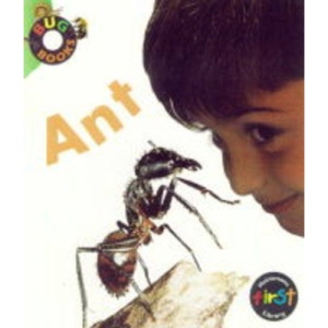 Ant (Bug Books)