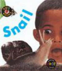 Snail (Bug Books)