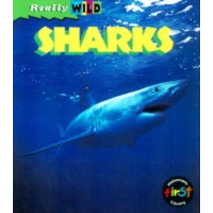 Sharks (Really Wild)