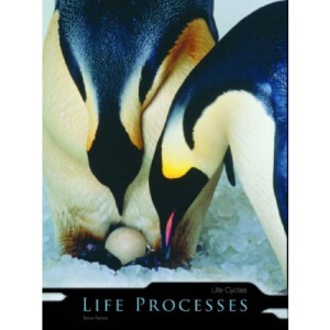Life Cycles  (Life Processes)