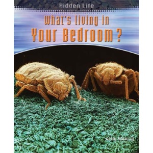 What's Living in Your Bedroom  (Hidden Life)