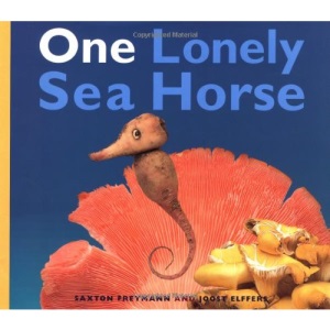 One Lonely Seahorse