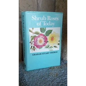 Shrub Roses of Today