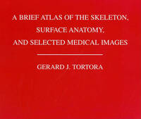 A Brief Atlas of the Human Skeleton, Surface Anatomy and Selected Medical Images