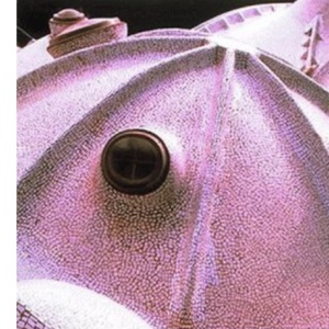 The Complete Architecture of Balkrishna Doshi: Rethinking Modernism for the Developing World