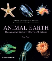 Animal Earth