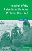 The Birth of the Palestinian Refugee Problem Revisited