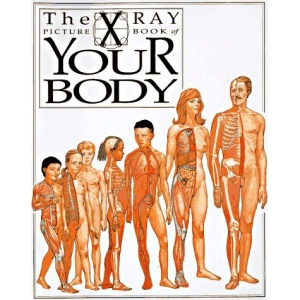 Your Body: X Ray Picture Book (X-Ray Picture Books)
