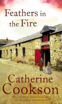 Feathers in the Fire