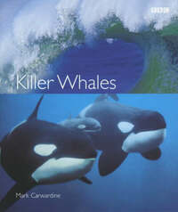 Killer Whales (Blue Planet)