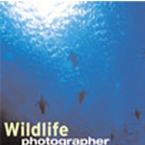 Wildlife Photographer of the Year: Portfolio 11 (Wildlife Photographer Annual)