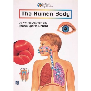 The Human Body: Small Book (PELICAN BIG BOOKS)