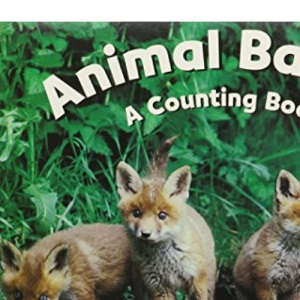 Animal Babies - A Counting Book
