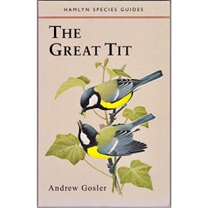 The Great Tit