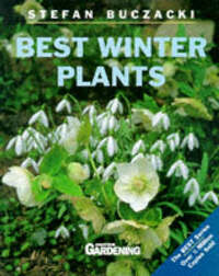 Best Winter Plants