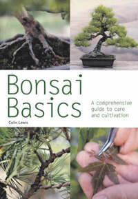 Bonsai Basics (Pyramid Paperbacks)