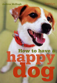 How to Have A Happy Dog