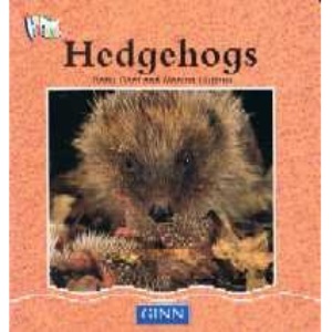 Hedgehogs (All Aboard)