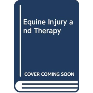 Equine Injury and Therapy