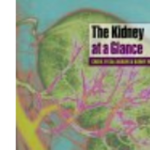 The Kidney at a Glance