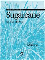 Sugarcane