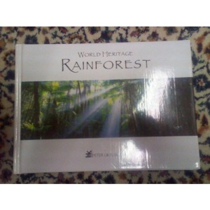 World Heritage Rainforest Australia