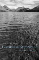Conscious Experience