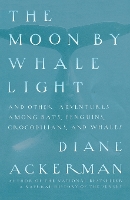 Moon By Whale Light