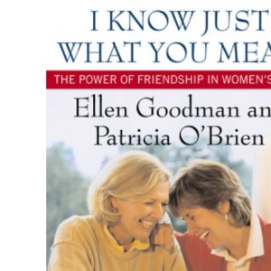 I Know Just What You Mean: the Power of Friendship in Women's Lives: The Power of Friendshiping Women's Lives