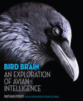 Bird Brain