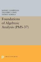 Foundations of Algebraic Analysis