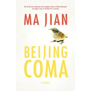 Beijing Coma