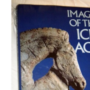 Images of the Ice Age