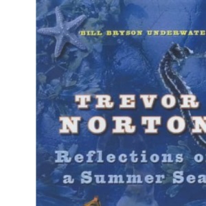 Reflections on a Summer Sea