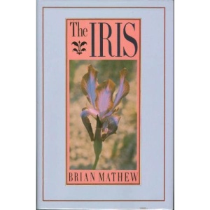 The Iris