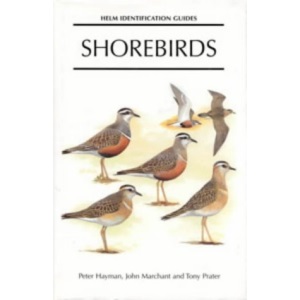 Shorebirds: Identification Guide to the Waders of the World (Helm Identification Guides)