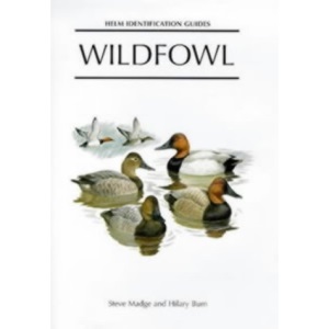 Wildfowl: An Identification Guide to the Ducks, Geese and Swans of the World (Helm Identification Guides)