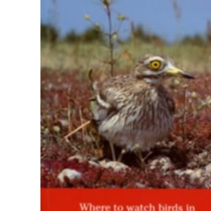 Where to Watch Birds in East Anglia