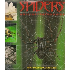 Spiders and Scorpions: An Illustrated Guide