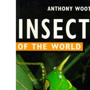 Insects of the World