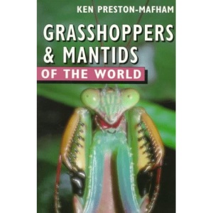 Grasshoppers and Mantids of the World