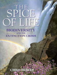 The Spice of Life: Biodiversity and the Extinction Crisis