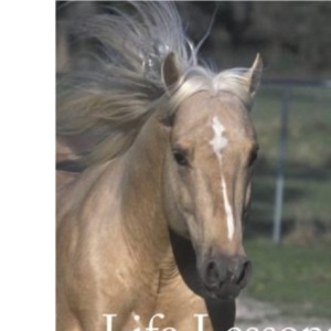 Life Lessons from a Ranch Horse