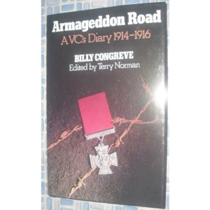 Armageddon Road: A V.C.'s Diary, 1914-16