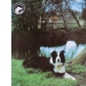 All About the Working Border Collie (All About Series)