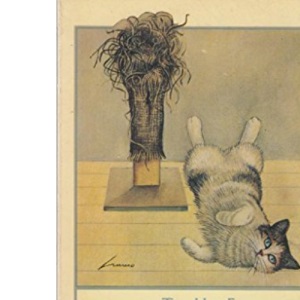 Natural Cat